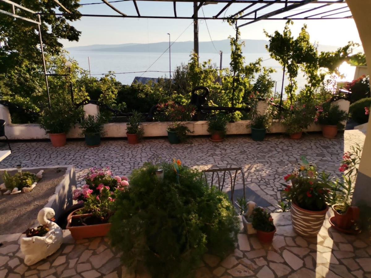 Apartmani Sidro Senj Senj  Εξωτερικό φωτογραφία
